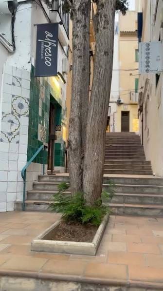 Carrer de Pau Barrabeig, Sitges: a stepped whitewashed old-town lane with a tree in a tiled planter